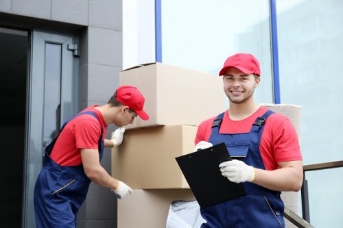 Mover handling boxed items safely during a van loading process